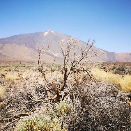 Сasa de vacaciones Casita Canaria *