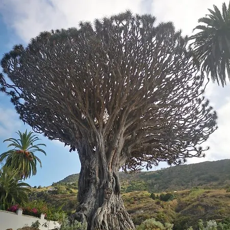 Сasa de vacaciones Casita Canaria *